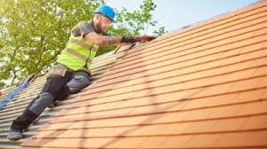 Best Asphalt Shingle Roofing  in Nicholls, GA