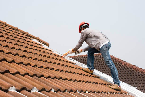 Best Siding  in Nicholls, GA