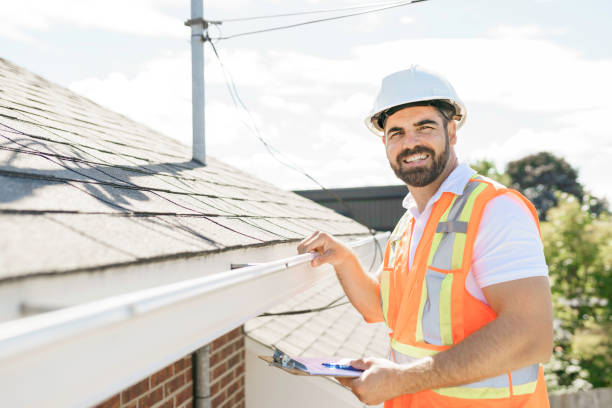 Best Roof Moss and Algae Removal  in Nicholls, GA