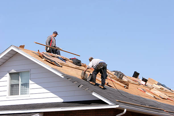 Best Chimney Flashing Repair  in Nicholls, GA