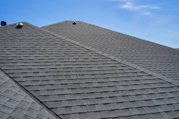Best Solar Panel Roofing Installation  in Nicholls, GA